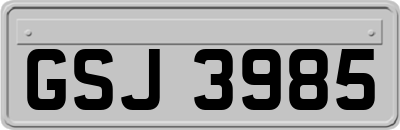 GSJ3985