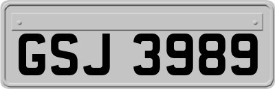 GSJ3989