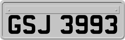GSJ3993