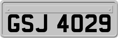 GSJ4029