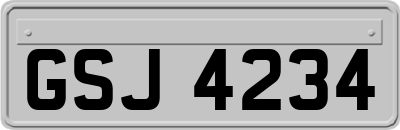 GSJ4234