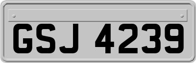 GSJ4239