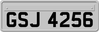 GSJ4256