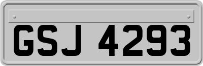 GSJ4293