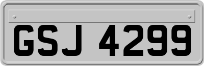 GSJ4299