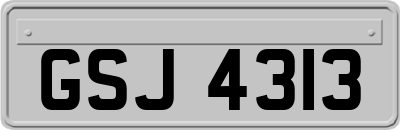 GSJ4313