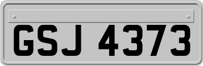 GSJ4373