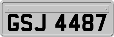 GSJ4487