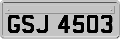 GSJ4503