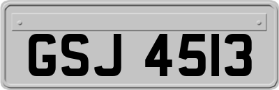GSJ4513