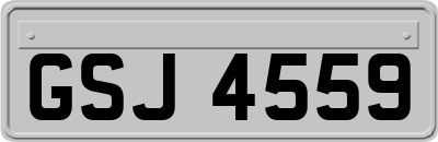 GSJ4559