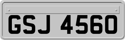 GSJ4560
