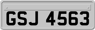 GSJ4563