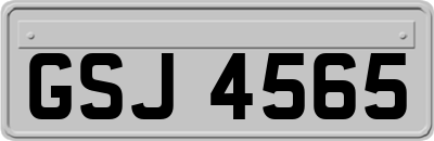 GSJ4565