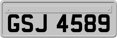 GSJ4589