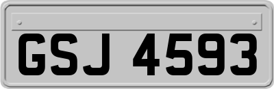 GSJ4593