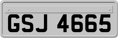 GSJ4665