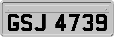 GSJ4739