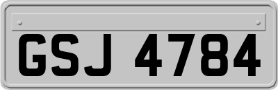 GSJ4784