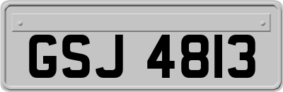 GSJ4813