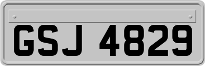 GSJ4829