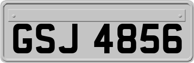 GSJ4856