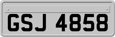 GSJ4858