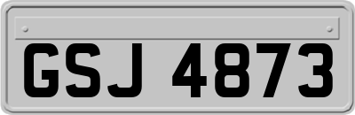 GSJ4873