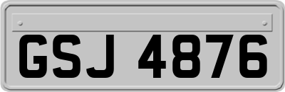 GSJ4876