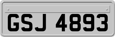 GSJ4893