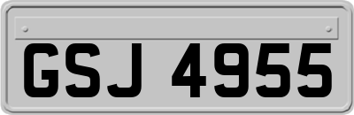 GSJ4955