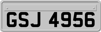 GSJ4956