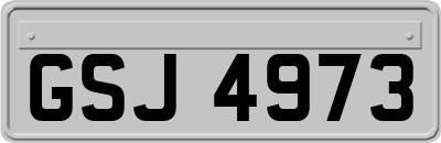 GSJ4973