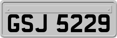 GSJ5229
