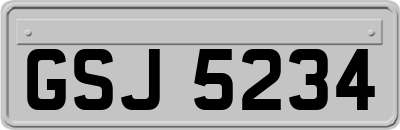 GSJ5234