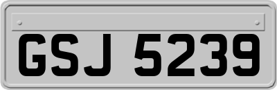 GSJ5239