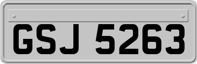 GSJ5263