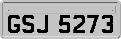 GSJ5273