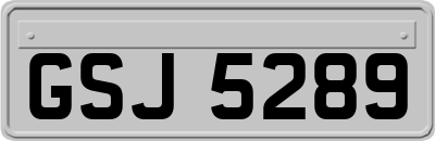 GSJ5289