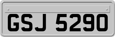 GSJ5290