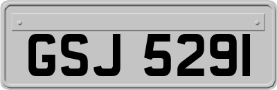 GSJ5291