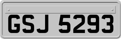 GSJ5293