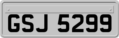 GSJ5299