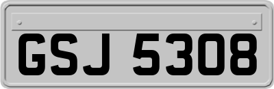 GSJ5308