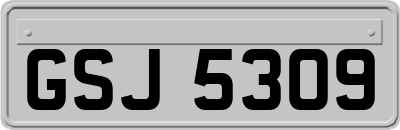 GSJ5309