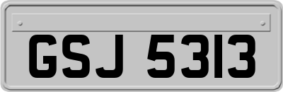 GSJ5313