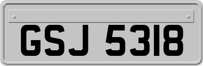 GSJ5318