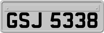 GSJ5338