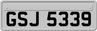 GSJ5339