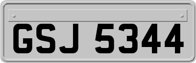 GSJ5344